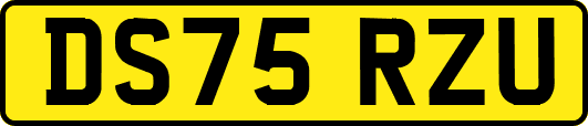 DS75RZU