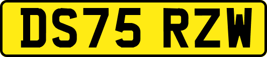 DS75RZW