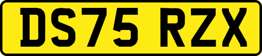 DS75RZX