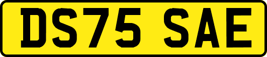 DS75SAE