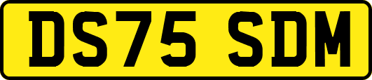 DS75SDM