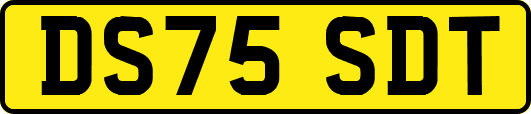 DS75SDT