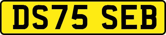 DS75SEB