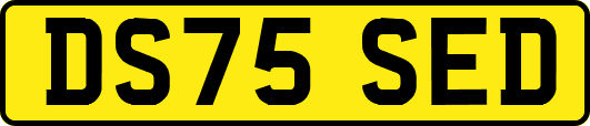 DS75SED