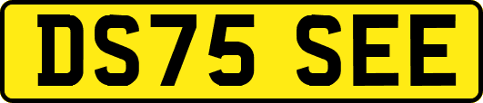 DS75SEE