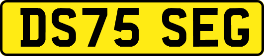 DS75SEG