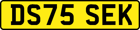 DS75SEK