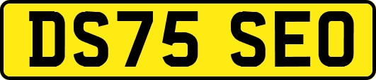 DS75SEO