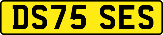 DS75SES