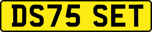 DS75SET