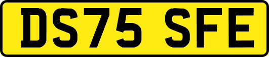 DS75SFE
