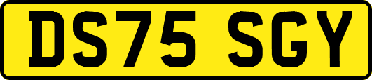 DS75SGY