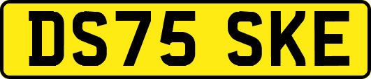 DS75SKE