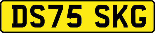 DS75SKG