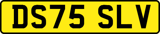 DS75SLV