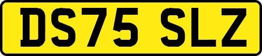 DS75SLZ