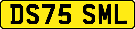 DS75SML