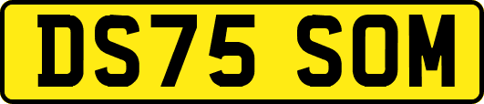 DS75SOM