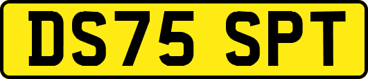 DS75SPT