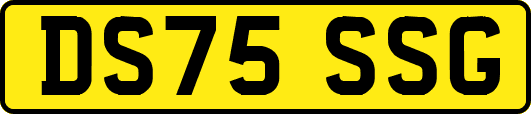DS75SSG