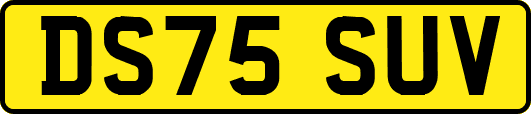 DS75SUV