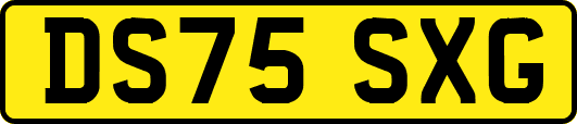 DS75SXG