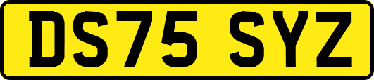 DS75SYZ
