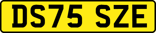 DS75SZE