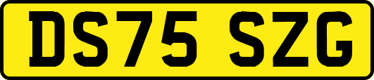 DS75SZG