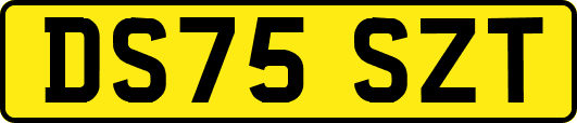 DS75SZT