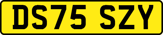 DS75SZY