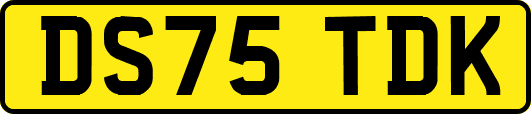 DS75TDK