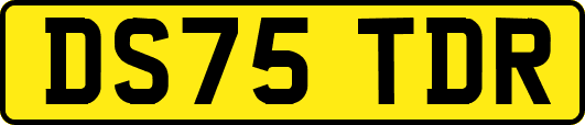 DS75TDR