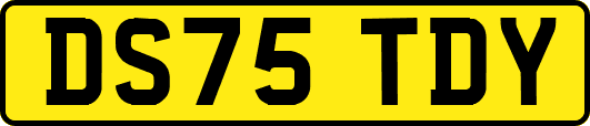 DS75TDY