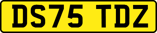 DS75TDZ