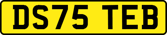 DS75TEB