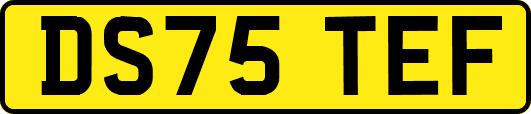 DS75TEF