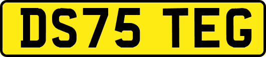 DS75TEG