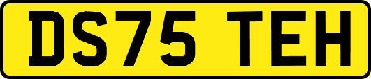 DS75TEH