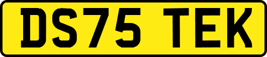 DS75TEK