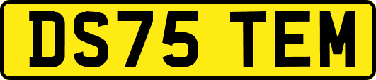 DS75TEM