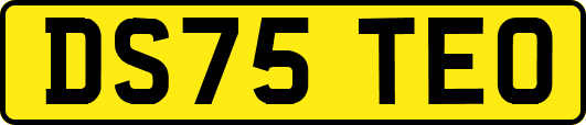 DS75TEO