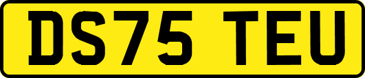 DS75TEU