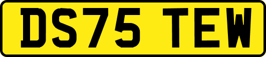 DS75TEW