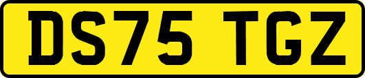 DS75TGZ