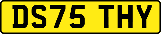 DS75THY