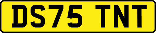 DS75TNT