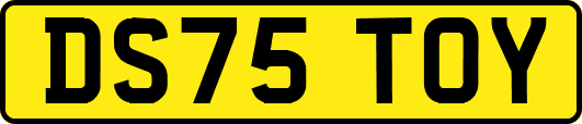 DS75TOY