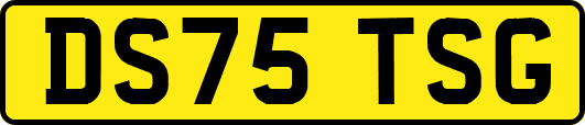 DS75TSG