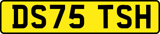 DS75TSH